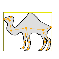 camel