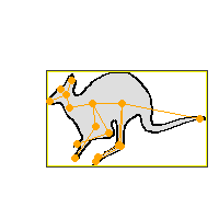 kangaroo