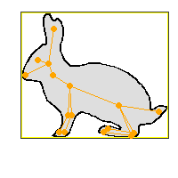 rabbit